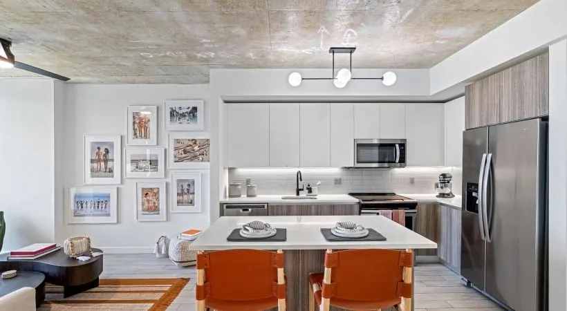 Gourmet kitchens with quartz countertops