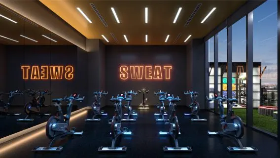 Spin Studio